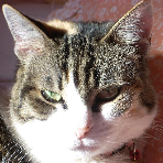 Josie13014
