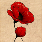 poppydopi