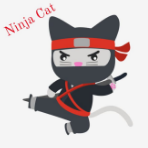 ninja31