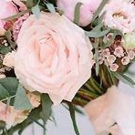 Jasmin 78410