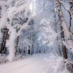 Neige62
