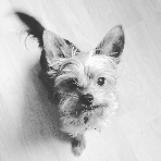Adelineb