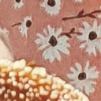 Maevalrv