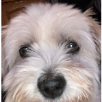 arnaudline