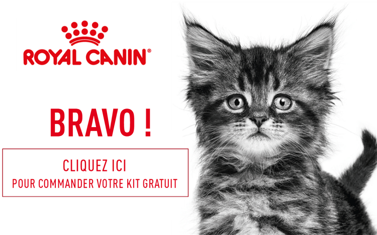 Royal Canin x Chaton : coffret 3 jours d'alimentation OFFERT ?