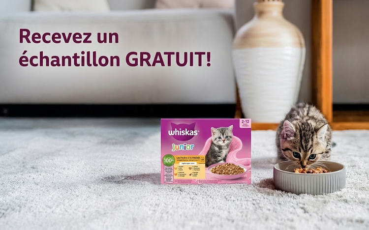 Bon plan: Échantillon gratuit Whiskas pour votre chaton : comment le commander