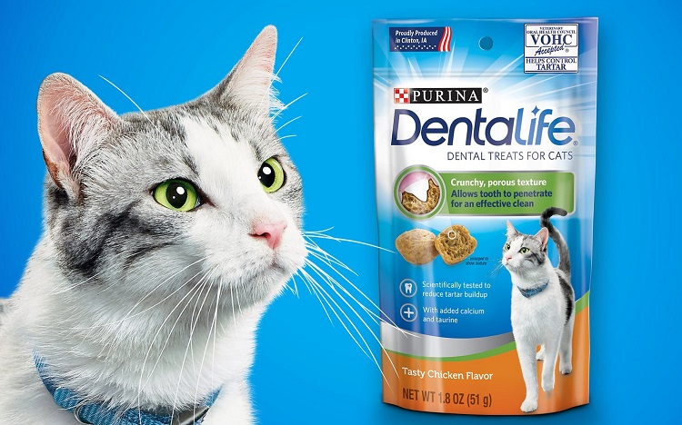Échantillon gratuit de friandises Dentalife pour votre chat