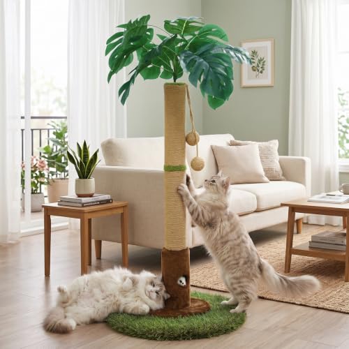 Arbre à chat d'intérieur Woochpet - 90 cm de haut avec corde en sisal et boule de suspension