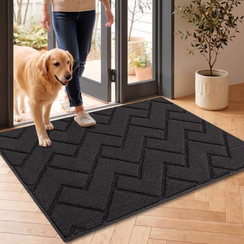 Tapis de Porte Paillasson 60x90cm Interieur et Extérieur Antidérapant Absorbant, Facile à Nettoyer