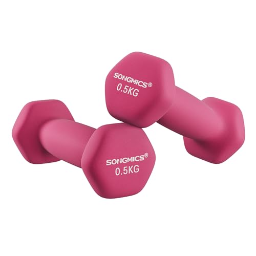 Lot de 2 Haltères Hexagonaux, 2 x 0,5 kg, avec Surface en PVC