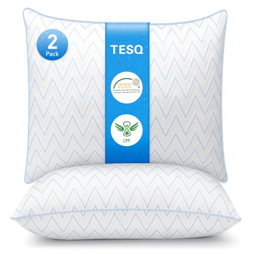 Lot de 2 - Oreiller rafraîchissant TESQ 65x65 cm - Confort et Soutien Équilibré